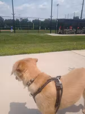 Laytonia Recreational Park - Gaithersburg, MD