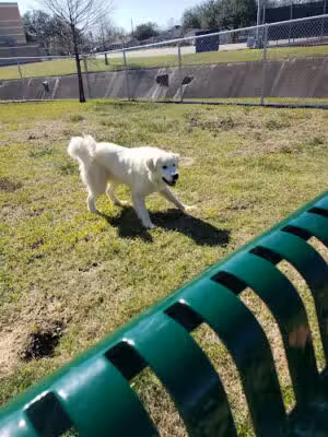 Galena Park - Galena Park, TX