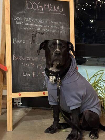 Barkin’ Barley - Gales Ferry, CT