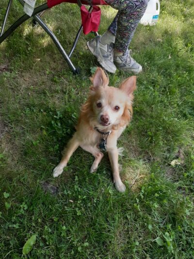 Pfizer Park - Gales Ferry, CT