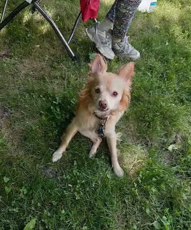 Pfizer Park - Gales Ferry, CT