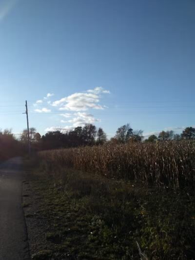 Fleetwood Park - Galesburg,