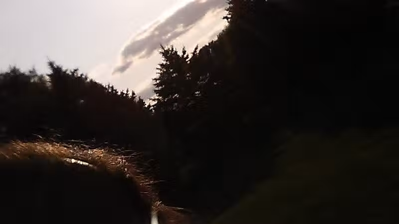 Fleetwood Park - Galesburg,