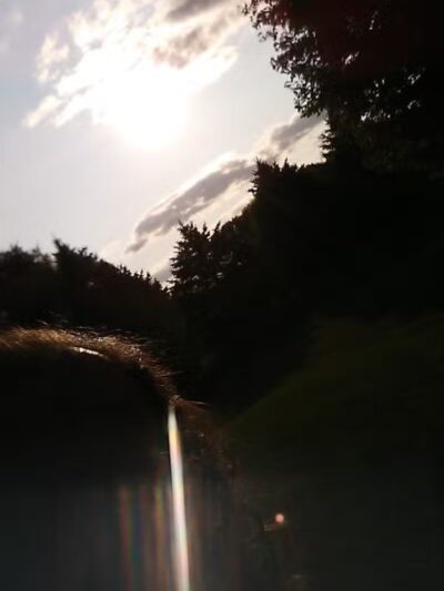 Fleetwood Park - Galesburg,