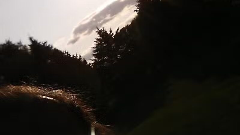 Fleetwood Park - Galesburg,