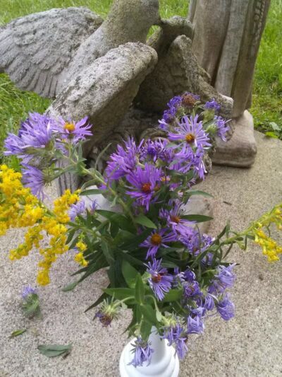 Fleetwood Park - Galesburg,