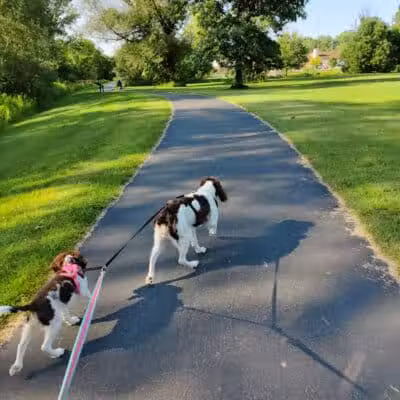 Galesburg Community Park - Galesburg,