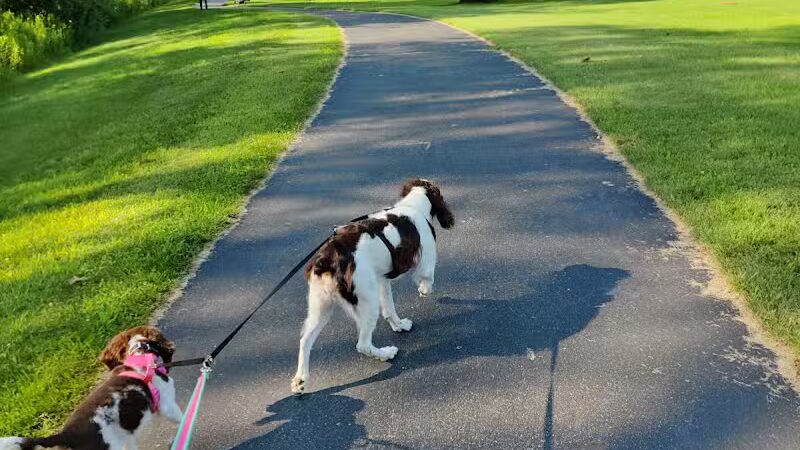 Galesburg Community Park - Galesburg,