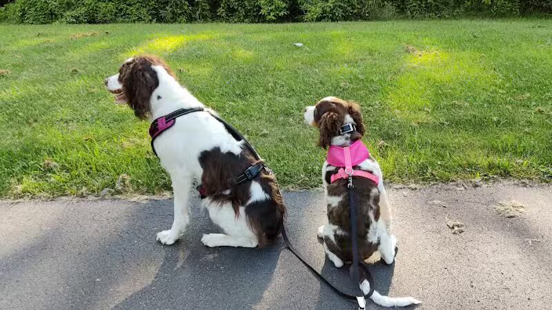 Galesburg Community Park - Galesburg,