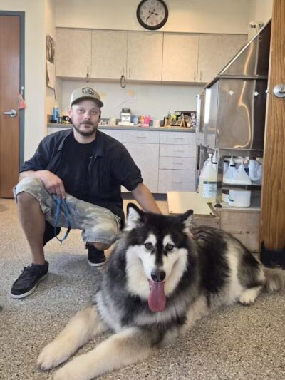 Get Fluffed pet grooming - Galesburg,