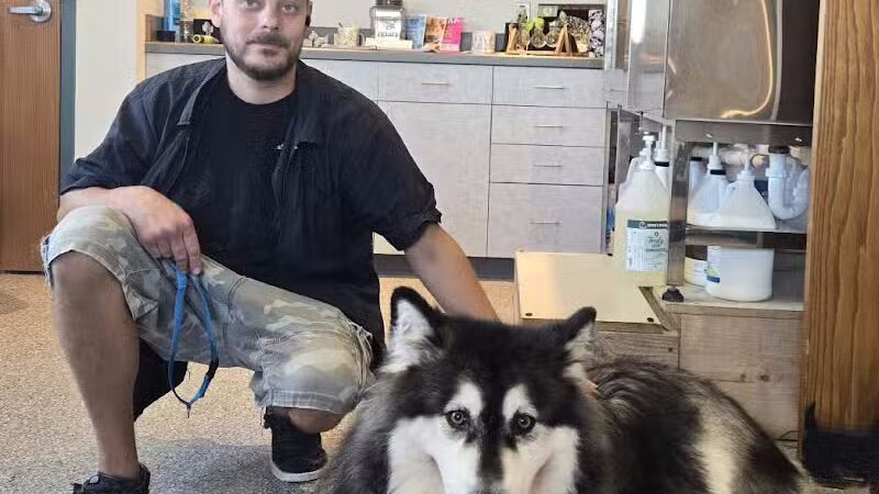 Get Fluffed pet grooming - Galesburg,