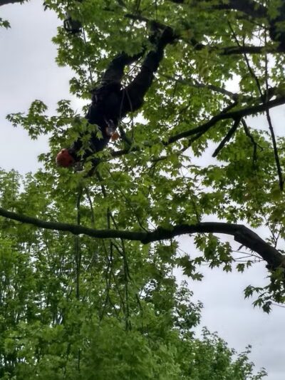 Ike Payne park - Galesburg,