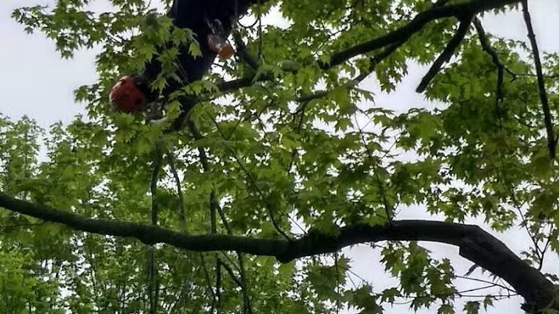 Ike Payne park - Galesburg,