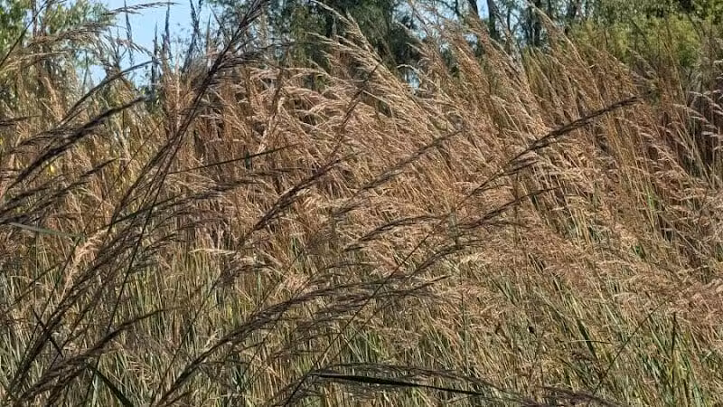Kalamazoo River Valley Trail - Galesburg,