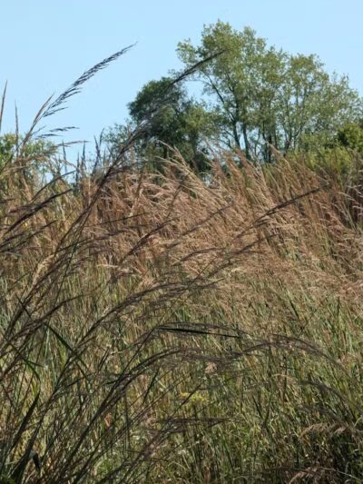 Kalamazoo River Valley Trail - Galesburg,