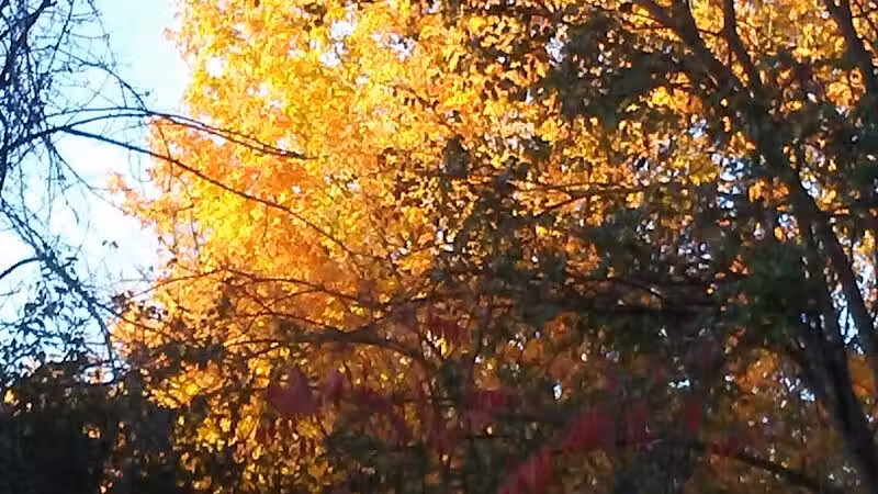Kalamazoo River Valley Trail - Galesburg,