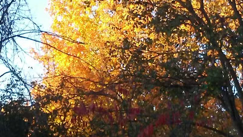 Kalamazoo River Valley Trail - Galesburg,