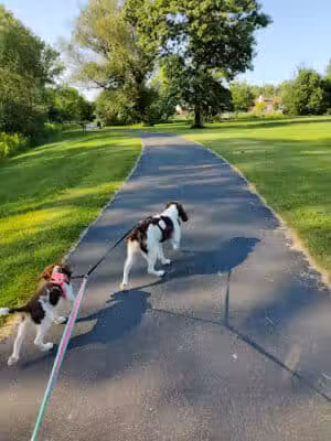 Galesburg Community Park - Galesburg,
