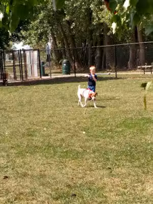 Project Dog Park - Connie Nott Canine Area - Galesburg,