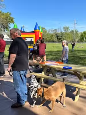 The Puppy Playground - Galesburg,