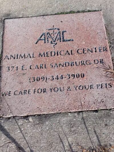 Project Dog Park - Connie Nott Canine Area - Galesburg,