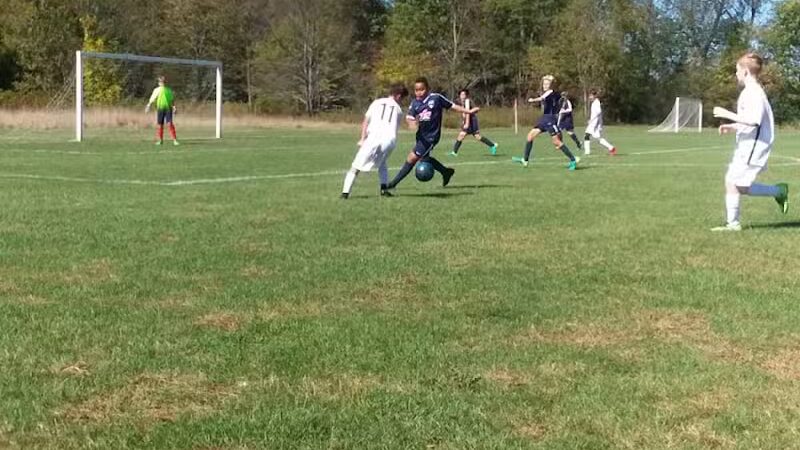 River Oaks County Park - Galesburg,