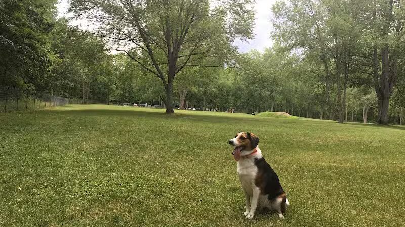 River Oaks County Park - Galesburg,