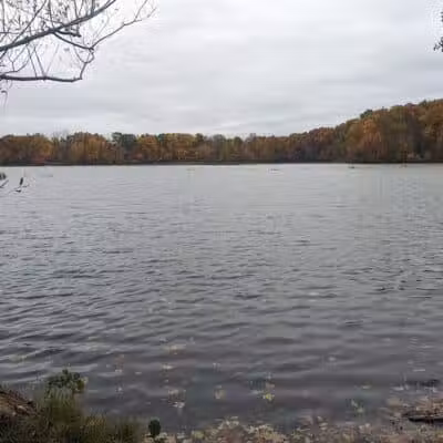 River Oaks County Park - Galesburg,