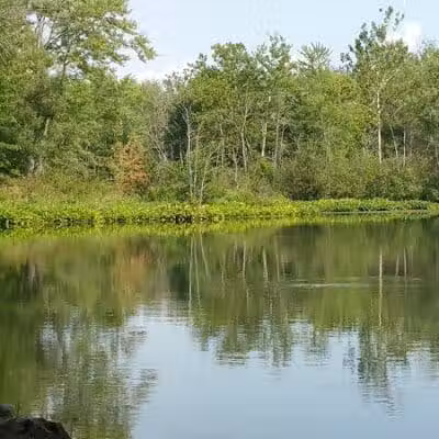River Oaks County Park - Galesburg,