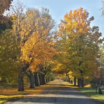 River Oaks County Park - Galesburg,