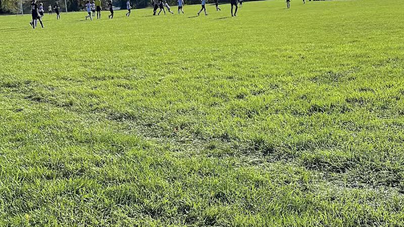 River Oaks County Park - Galesburg,