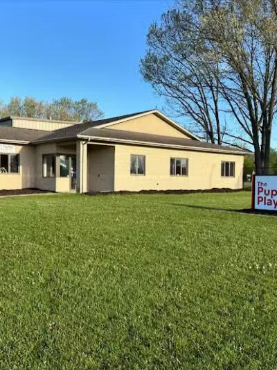 The Puppy Playground - Galesburg,