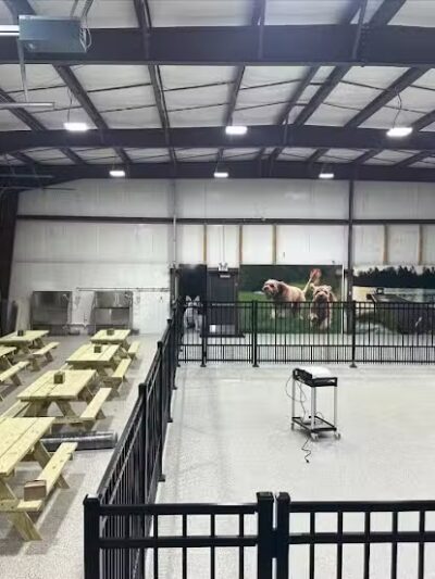 The Puppy Playground - Galesburg,