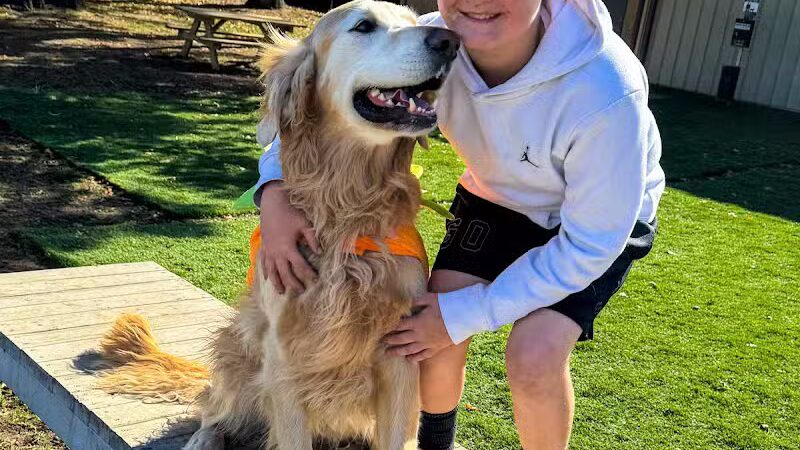 The Puppy Playground - Galesburg,