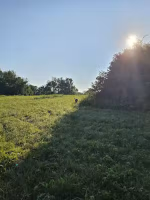 Triple Creek Dog Park - Gallatin, TN