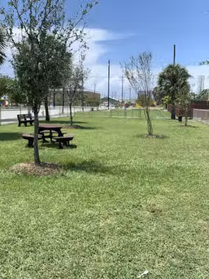 Gus Allen Sr. Park - Galveston, TX