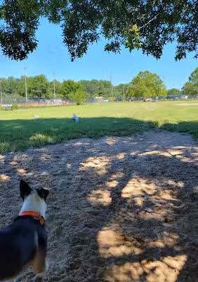 Bell Branch Dog Park - Gambrills, MD
