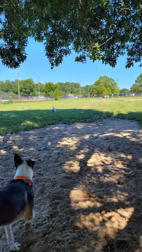 Bell Branch Dog Park - Gambrills, MD