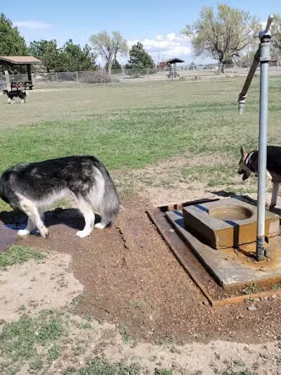Garden City Dog Park - Garden City,
