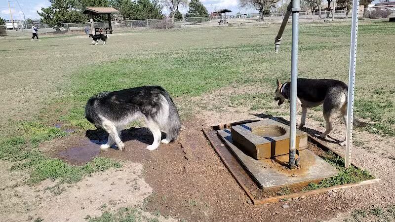 Garden City Dog Park - Garden City,