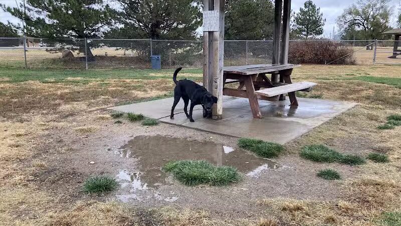 Garden City Dog Park - Garden City,