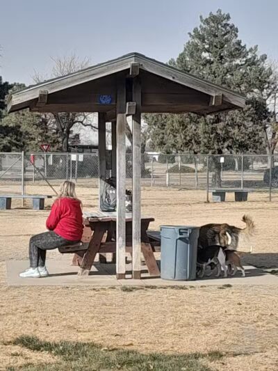 Garden City Dog Park - Garden City,