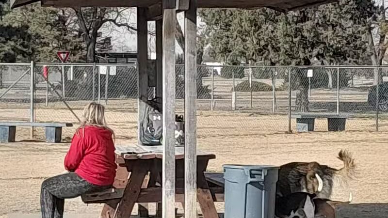 Garden City Dog Park - Garden City,