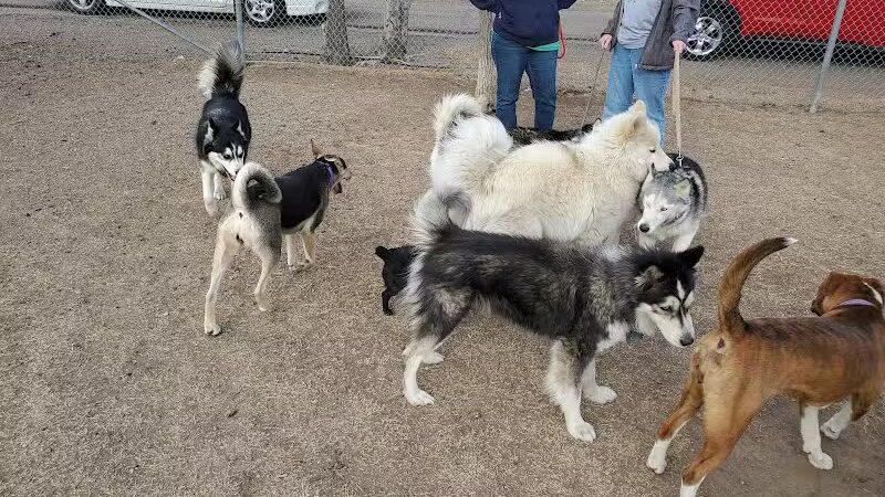 Garden City Dog Park - Garden City,