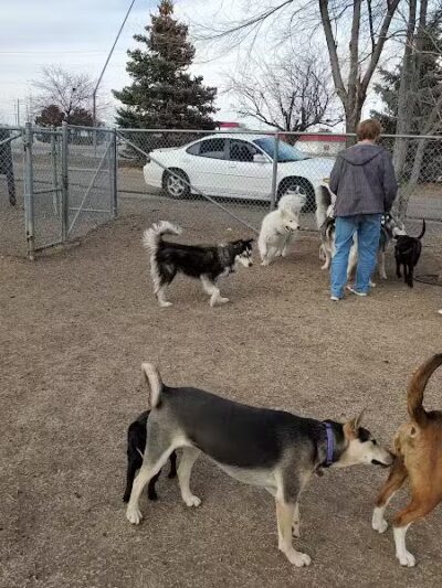 Garden City Dog Park - Garden City,