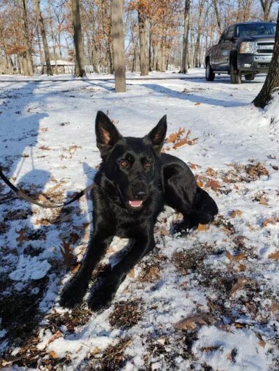 Garden City Parks - Garden City,