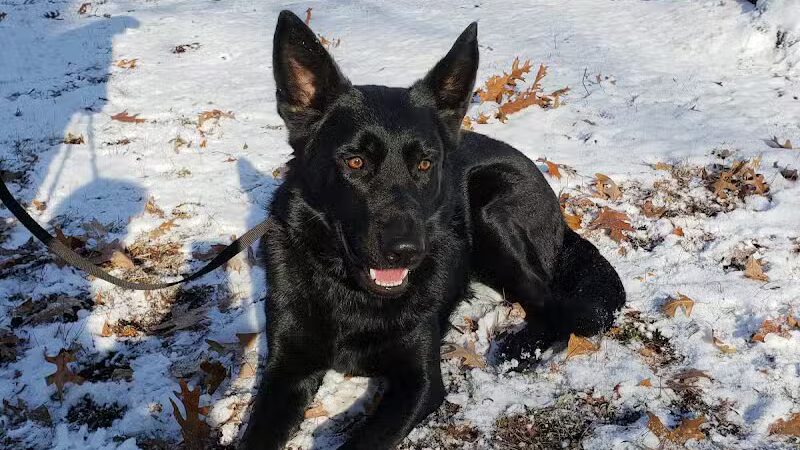 Garden City Parks - Garden City,