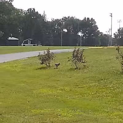 Garden City Parks - Garden City,