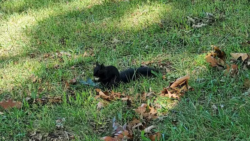 Garden City Parks - Garden City,