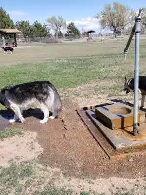 Garden City Dog Park - Garden City, KS
